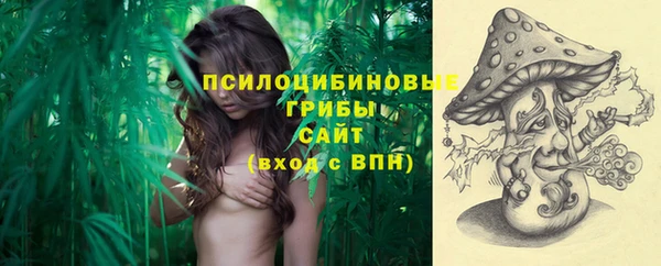 круглые Алзамай