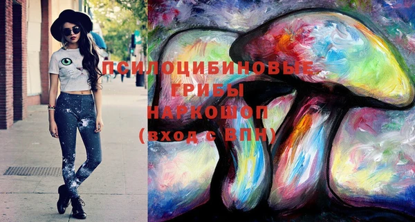 круглые Алзамай