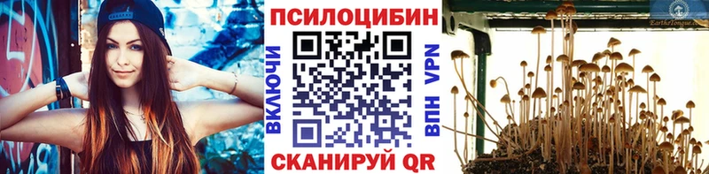 Купить  Александровское  Галлюциногенные грибы мицелий 